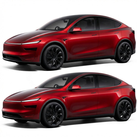 Tesery Onyx Claw Rims for Tesla Model Y/X
