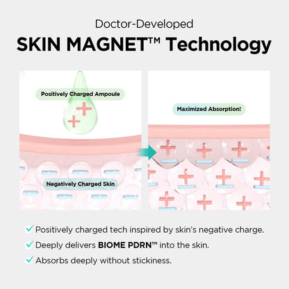 Dr. nineteen ReDRN Exosome Ampoule
