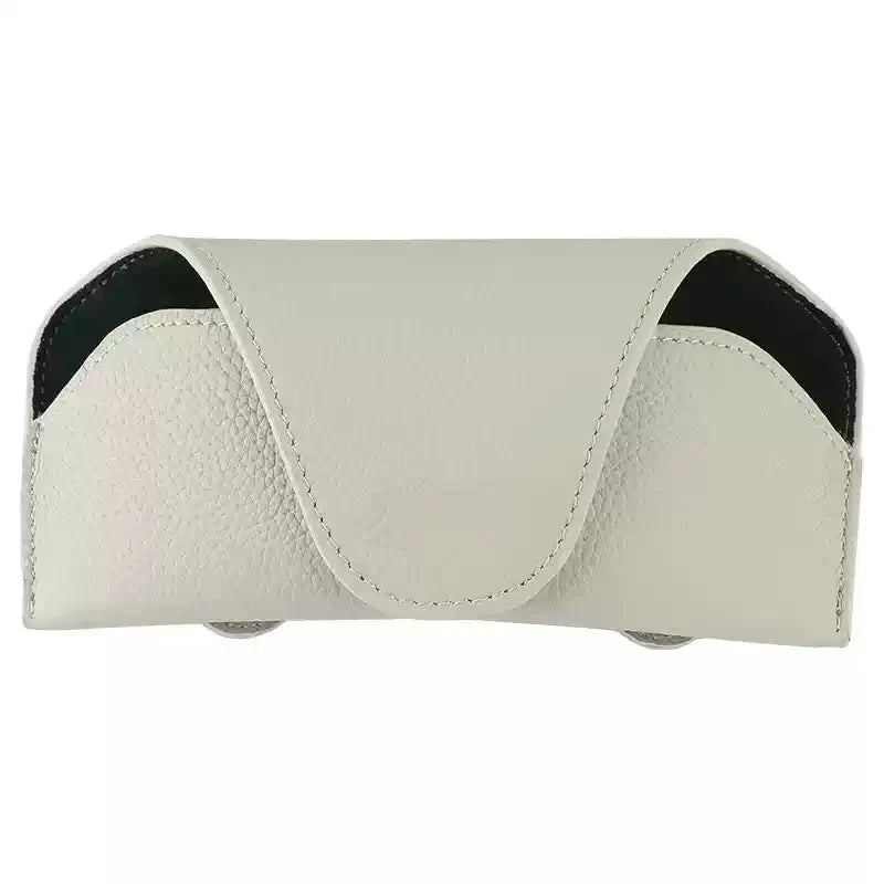 Premium Visor Glasses Case for Tesla